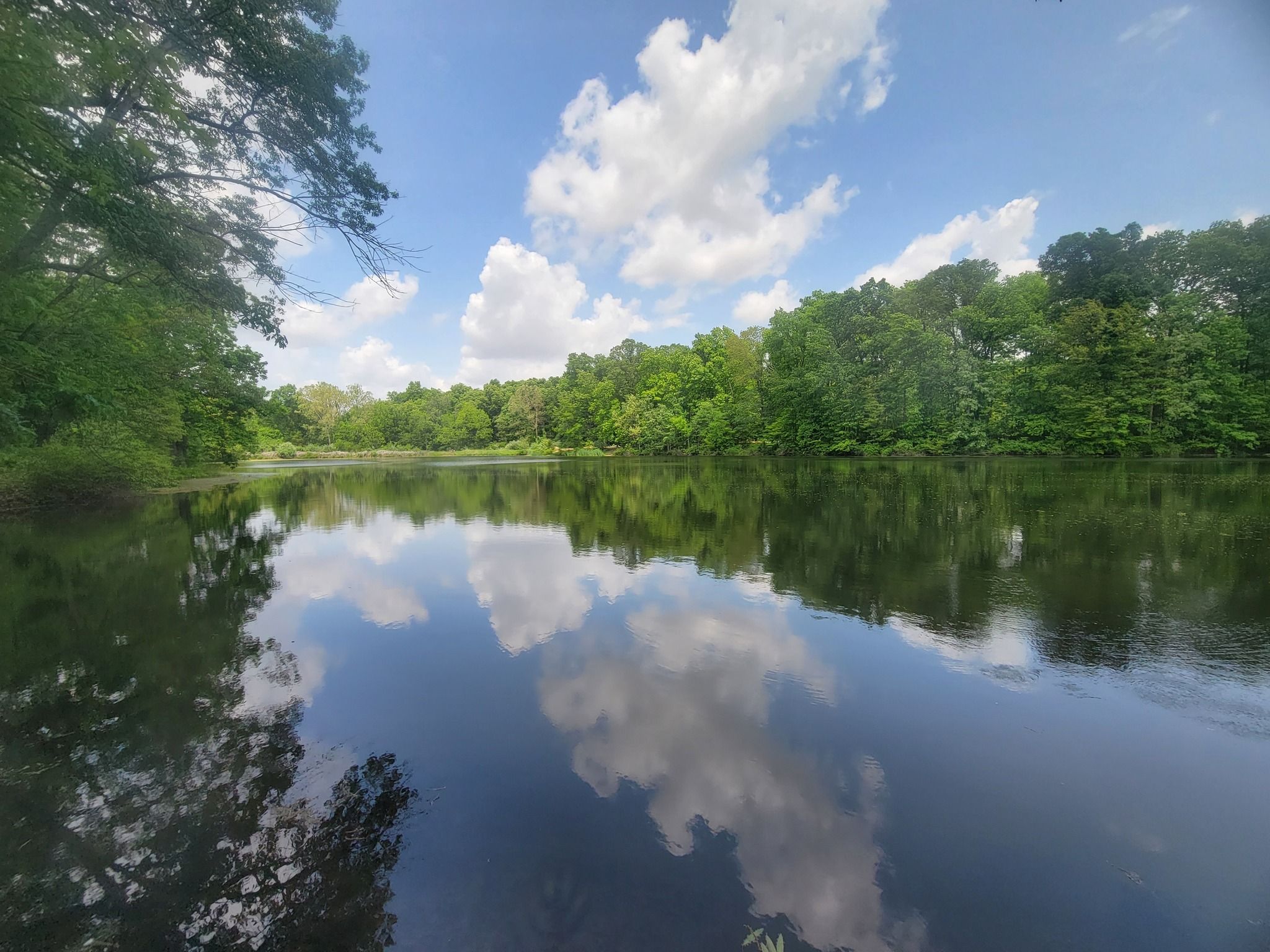 Eco Lake Park